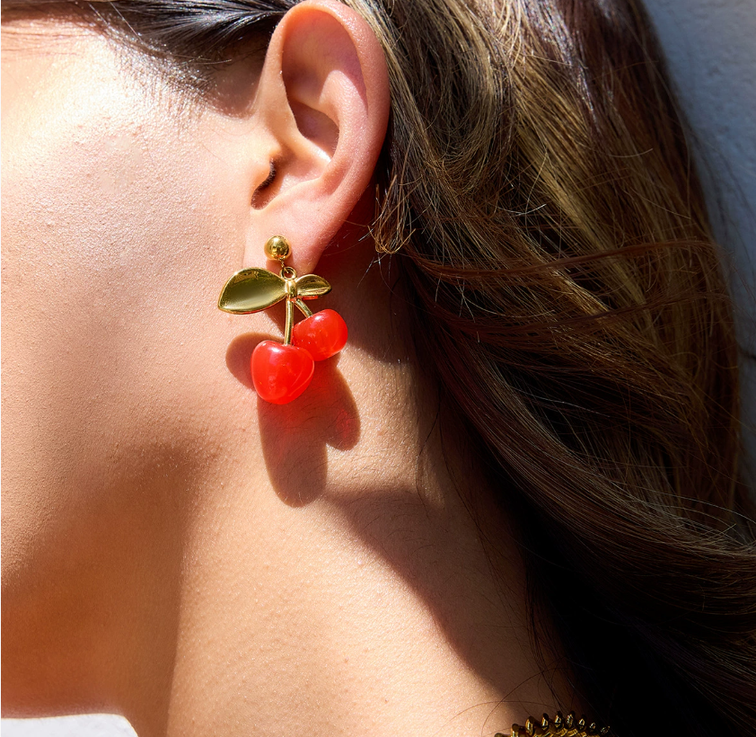 Stainless steel earrings