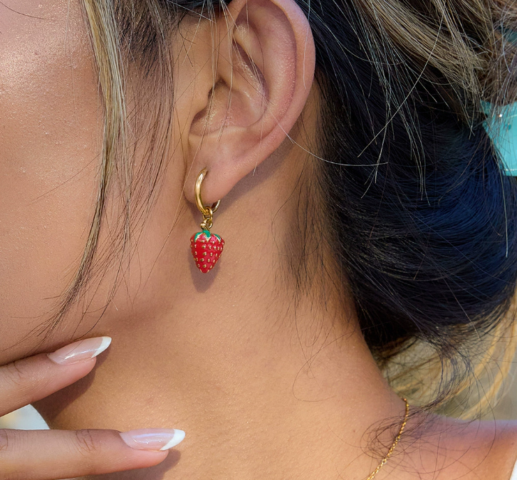 Stainless steel earrings