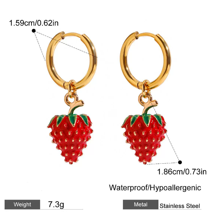 Stainless steel earrings