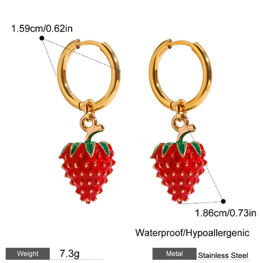 Stainless steel earrings