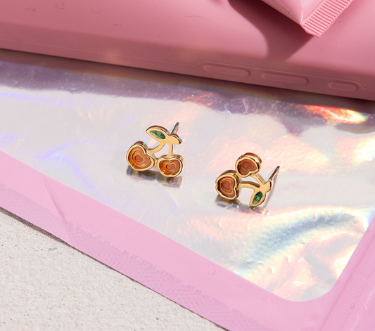 Stainless steel earrings