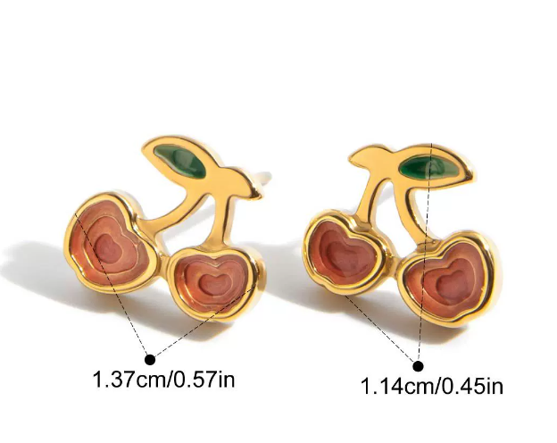 Stainless steel earrings