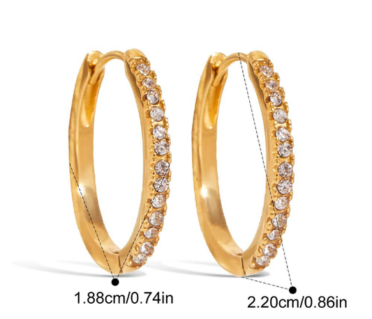 Stainless steel earrings