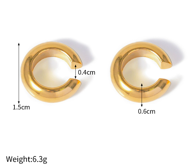 Stainless steel earrings