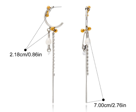 Stainless steel earrings