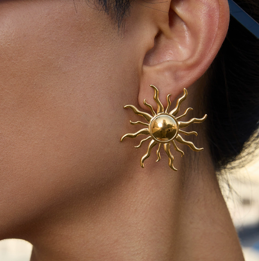 Stainless steel earrings