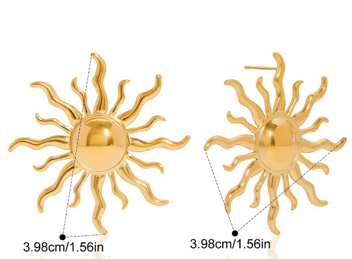 Stainless steel earrings