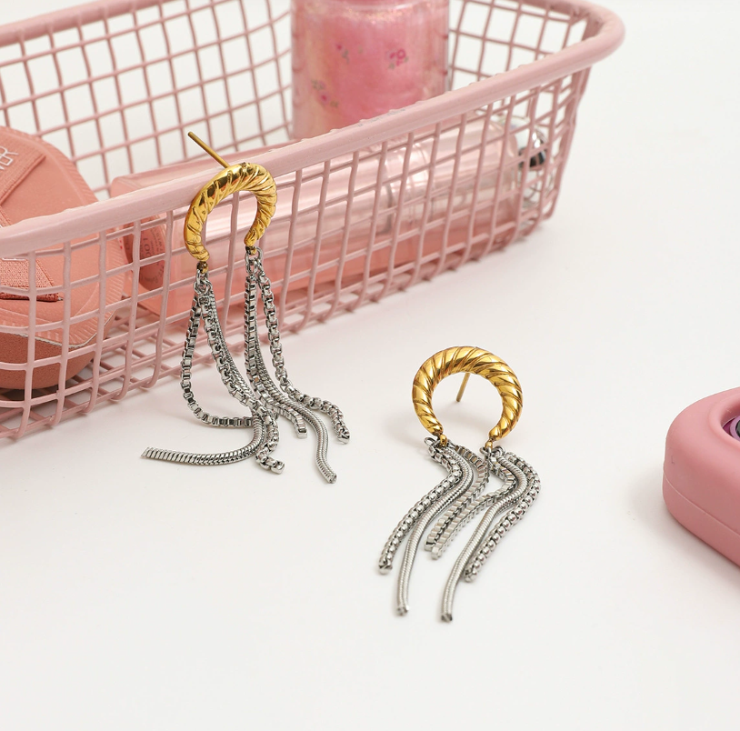 Stainless steel earrings