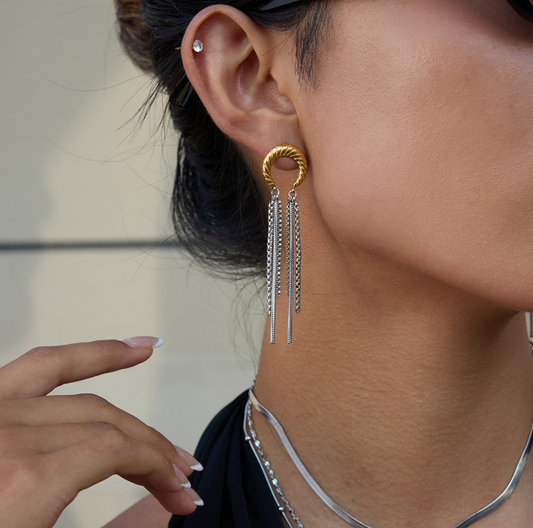 Stainless steel earrings