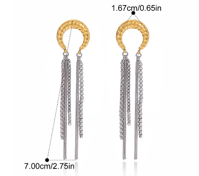 Stainless steel earrings