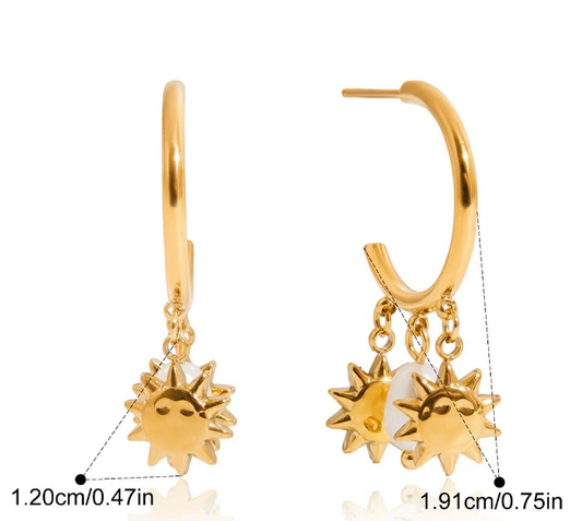 Stainless steel earrings