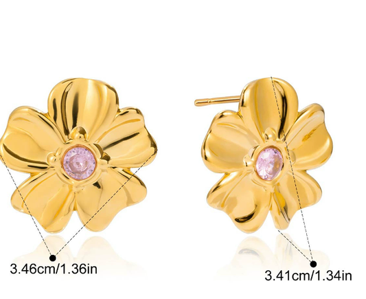 Stainless steel earrings