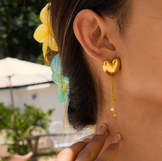 Stainless steel earrings