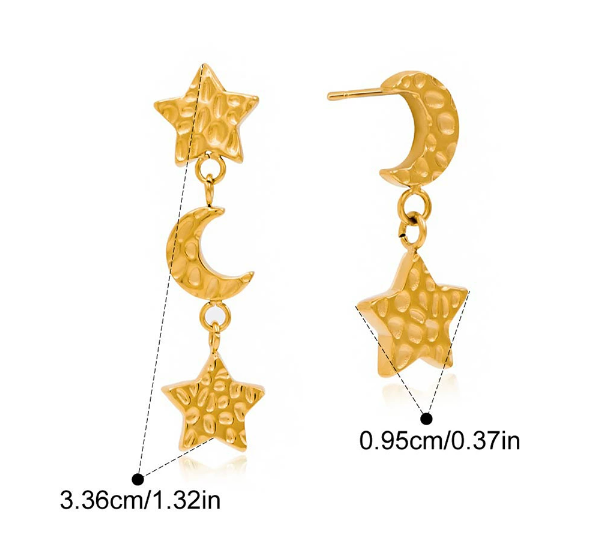 Stainless steel earrings