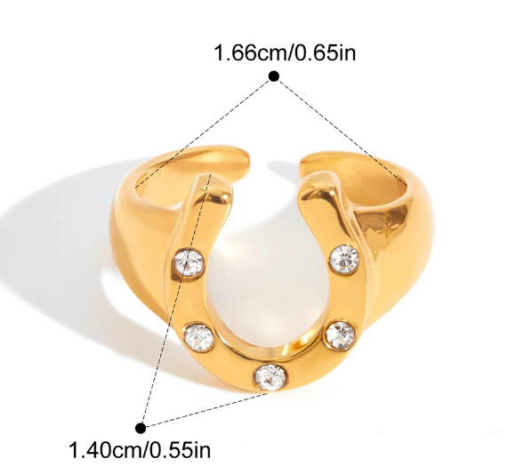 Stainless steel ring