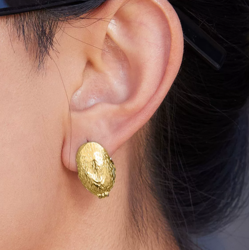 Stainless steel earrings