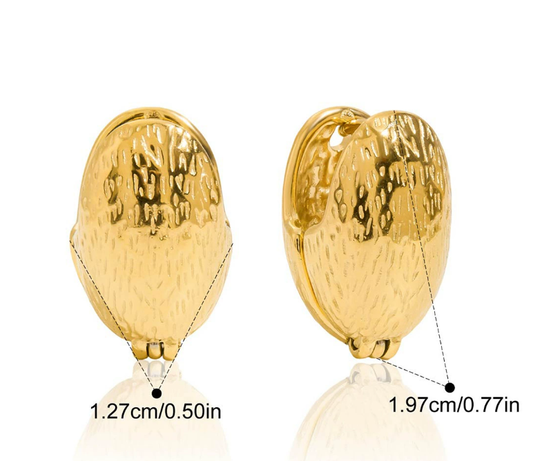 Stainless steel earrings