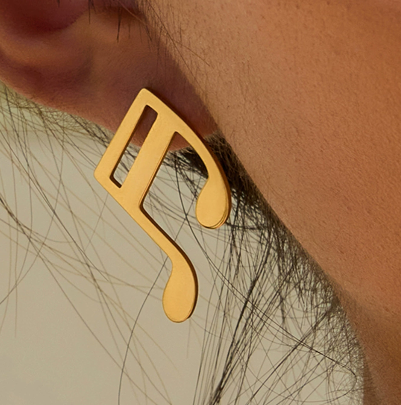 Stainless steel earrings