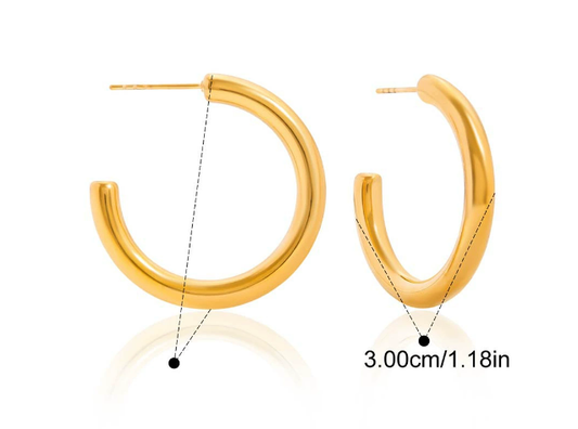 Stainless steel earrings