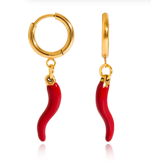 Stainless steel earrings