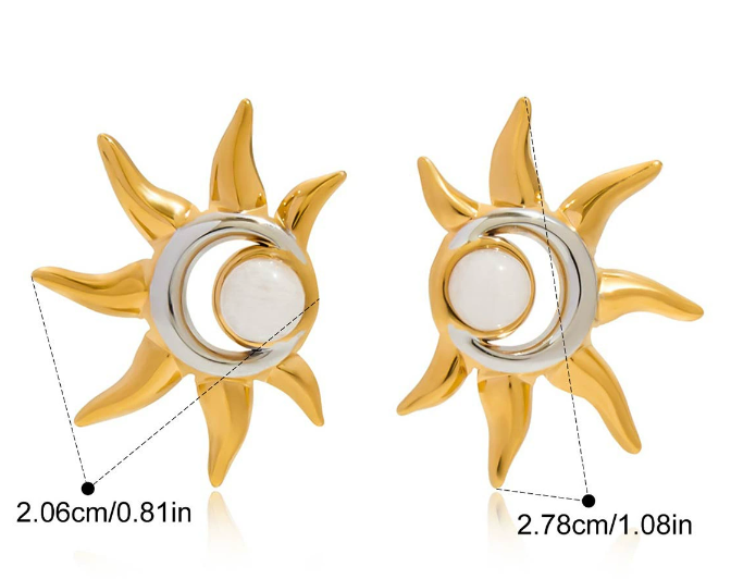 Stainless steel earrings