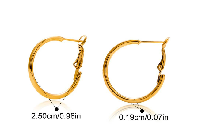 Stainless steel earrings