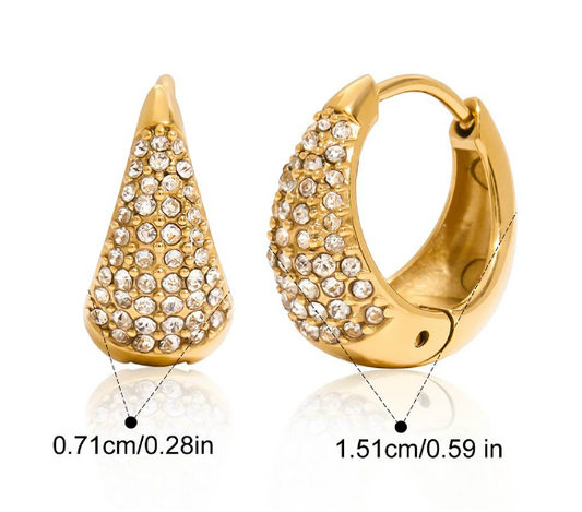 Stainless steel earrings