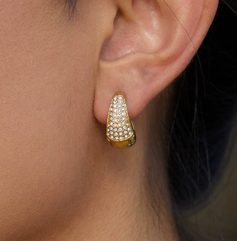 Stainless steel earrings