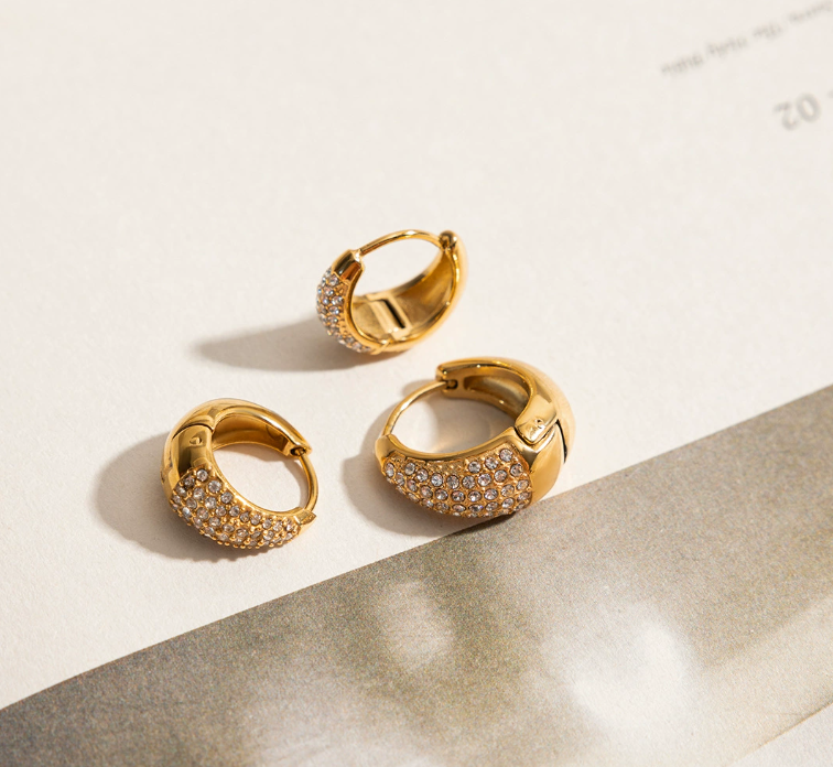 Stainless steel earrings