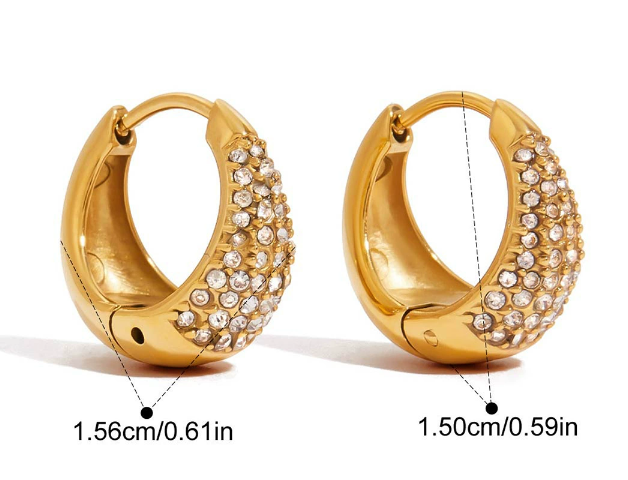 Stainless steel earrings