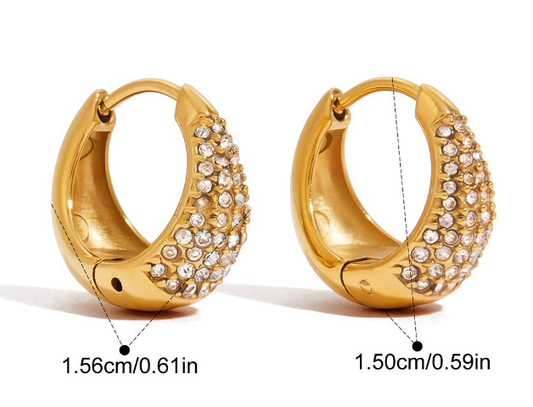 Stainless steel earrings