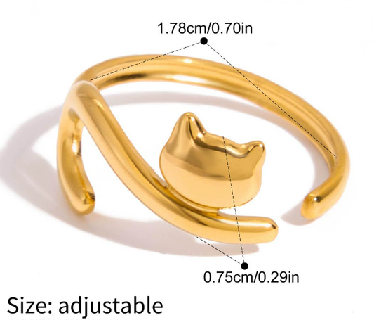 Stainless steel ring