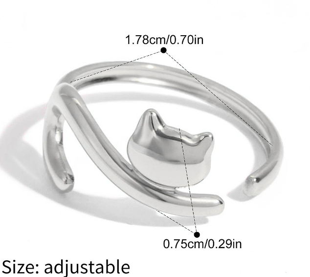 Stainless steel ring