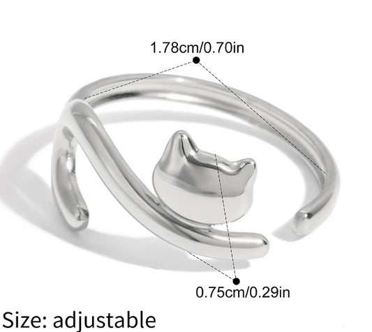 Stainless steel ring