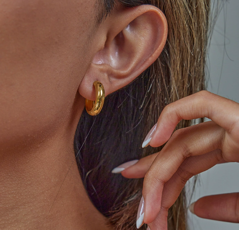 Stainless steel earrings