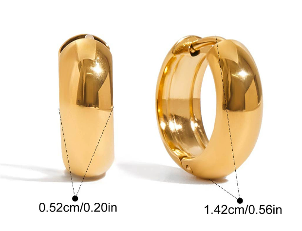 Stainless steel earrings