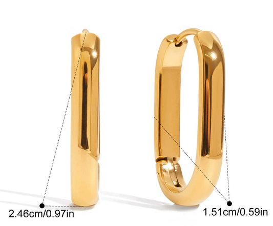 Stainless steel earrings