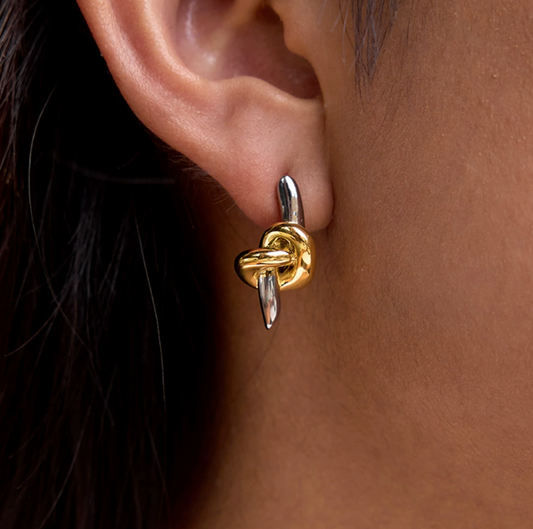 Stainless steel earrings