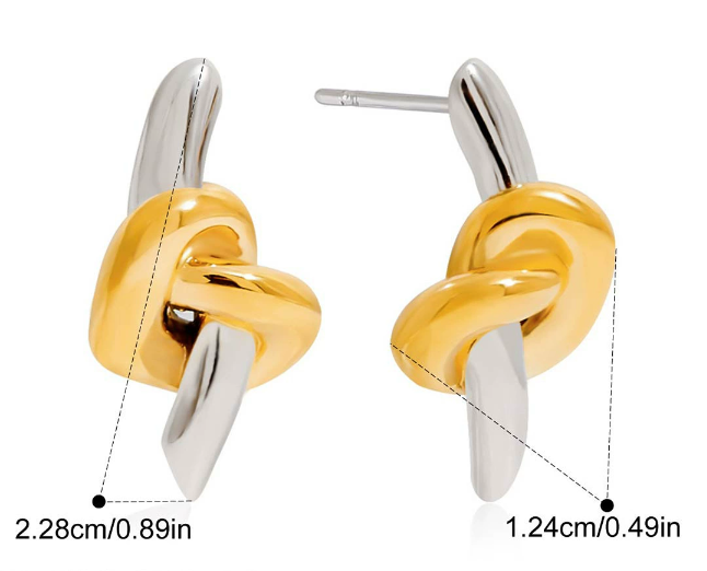 Stainless steel earrings