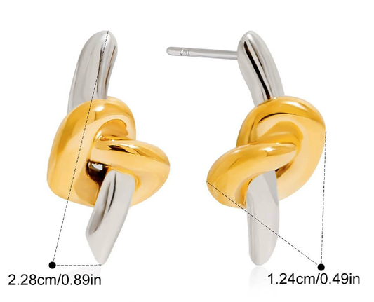 Stainless steel earrings