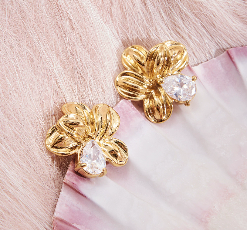 Stainless steel earrings