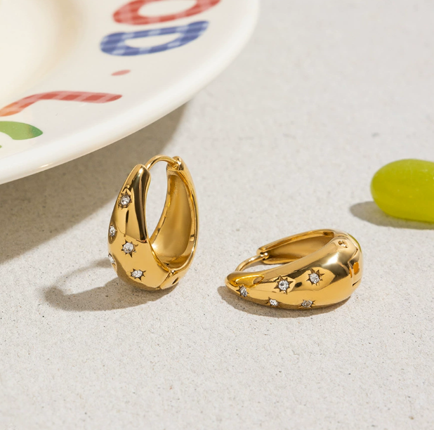 Stainless steel earrings