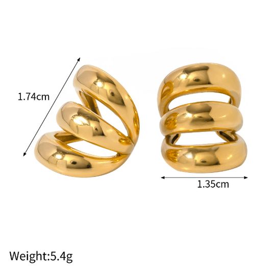 Stainless steel earrings