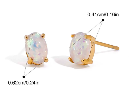 Stainless steel earrings