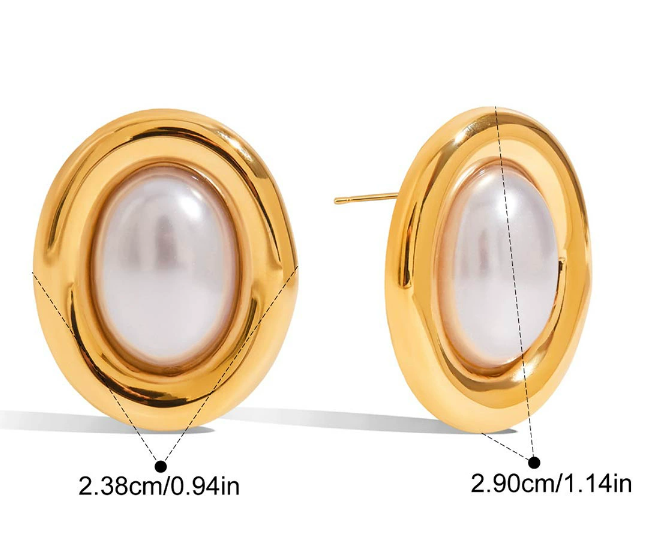 Stainless steel earrings