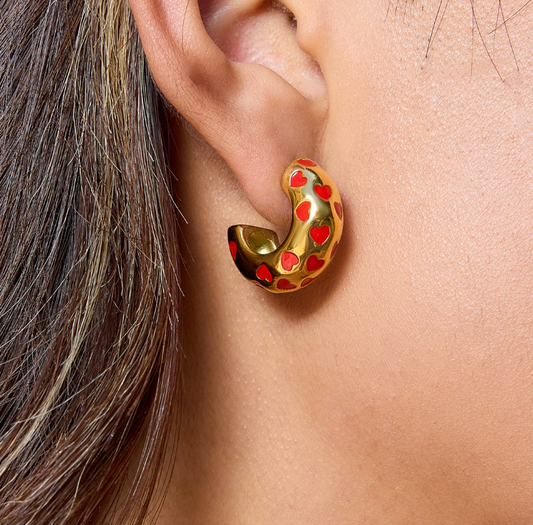 Stainless steel earrings