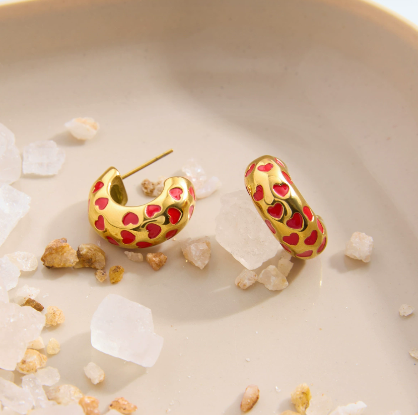 Stainless steel earrings