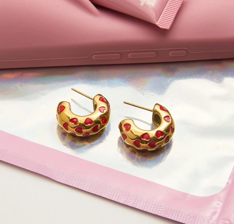 Stainless steel earrings