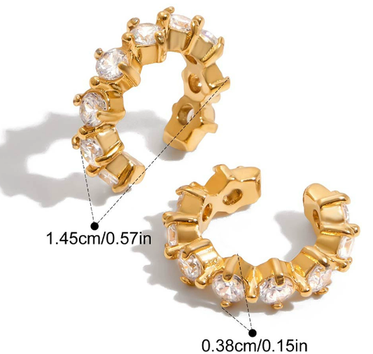 Stainless steel earrings