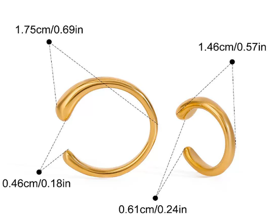 Stainless steel earrings